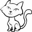 Cats 16